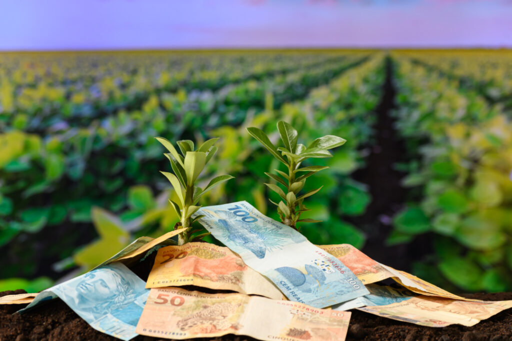 MP abre renegociação de R$ 100 bi em dívidas rurais